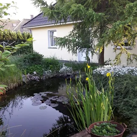 公寓 Haus Ostsee - Ferienwohnung Mowe 萨斯尼茨